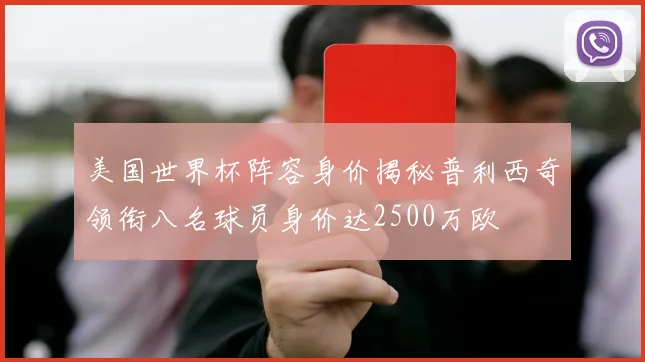 美国世界杯阵容身价揭秘普利西奇领衔八名球员身价达2500万欧