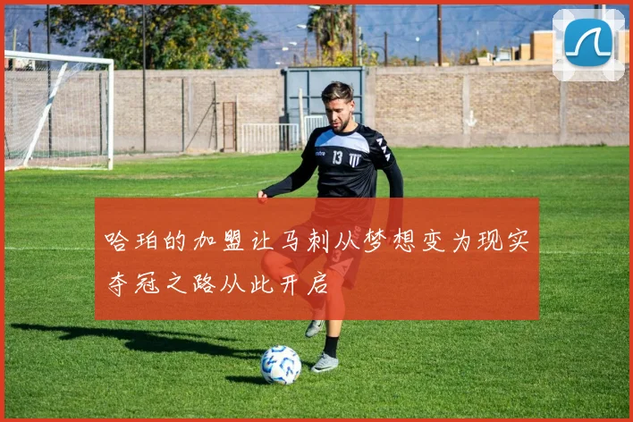 哈珀的加盟让马刺从梦想变为现实夺冠之路从此开启