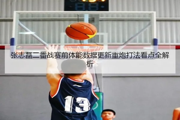 张志磊二番战赛前体能数据更新重炮打法看点全解析
