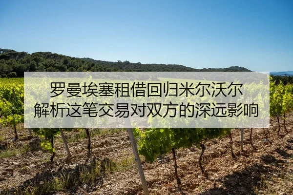 罗曼埃塞租借回归米尔沃尔 解析这笔交易对双方的深远影响